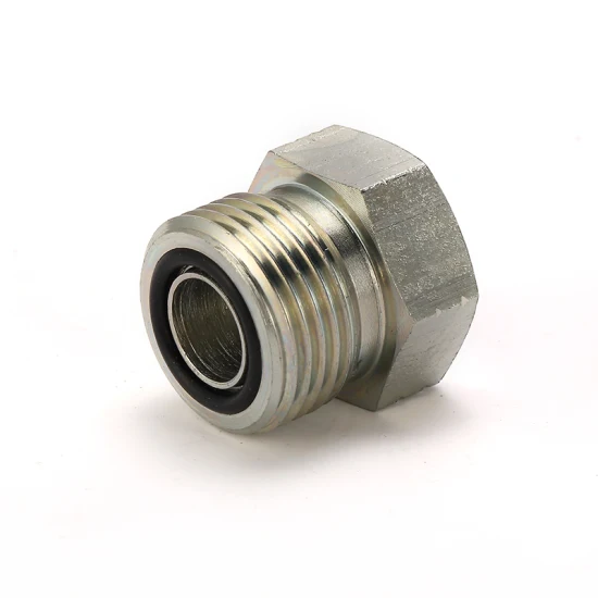 Bsp Male Captive Seal Hollow Hex Plug (4BN-WD)